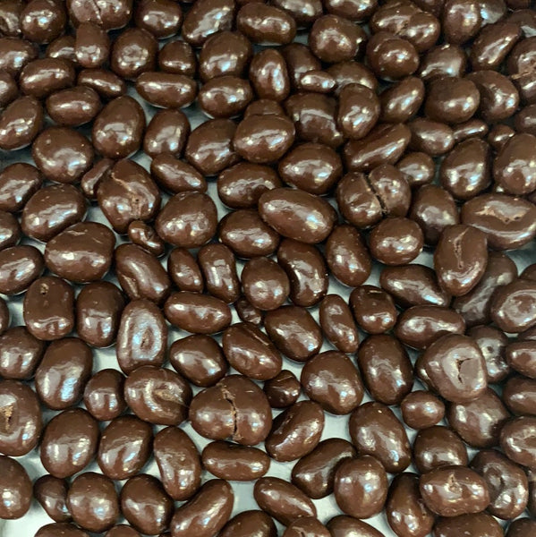 Dark Chocolate Covered Peanuts (1 lb.)