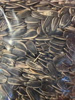 Unsalted Sunflower Seeds In Shell (large)